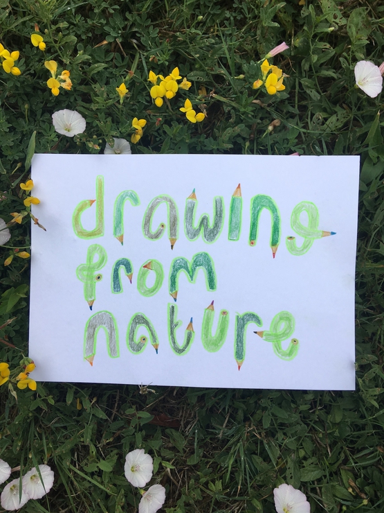 Drawing from Nature 